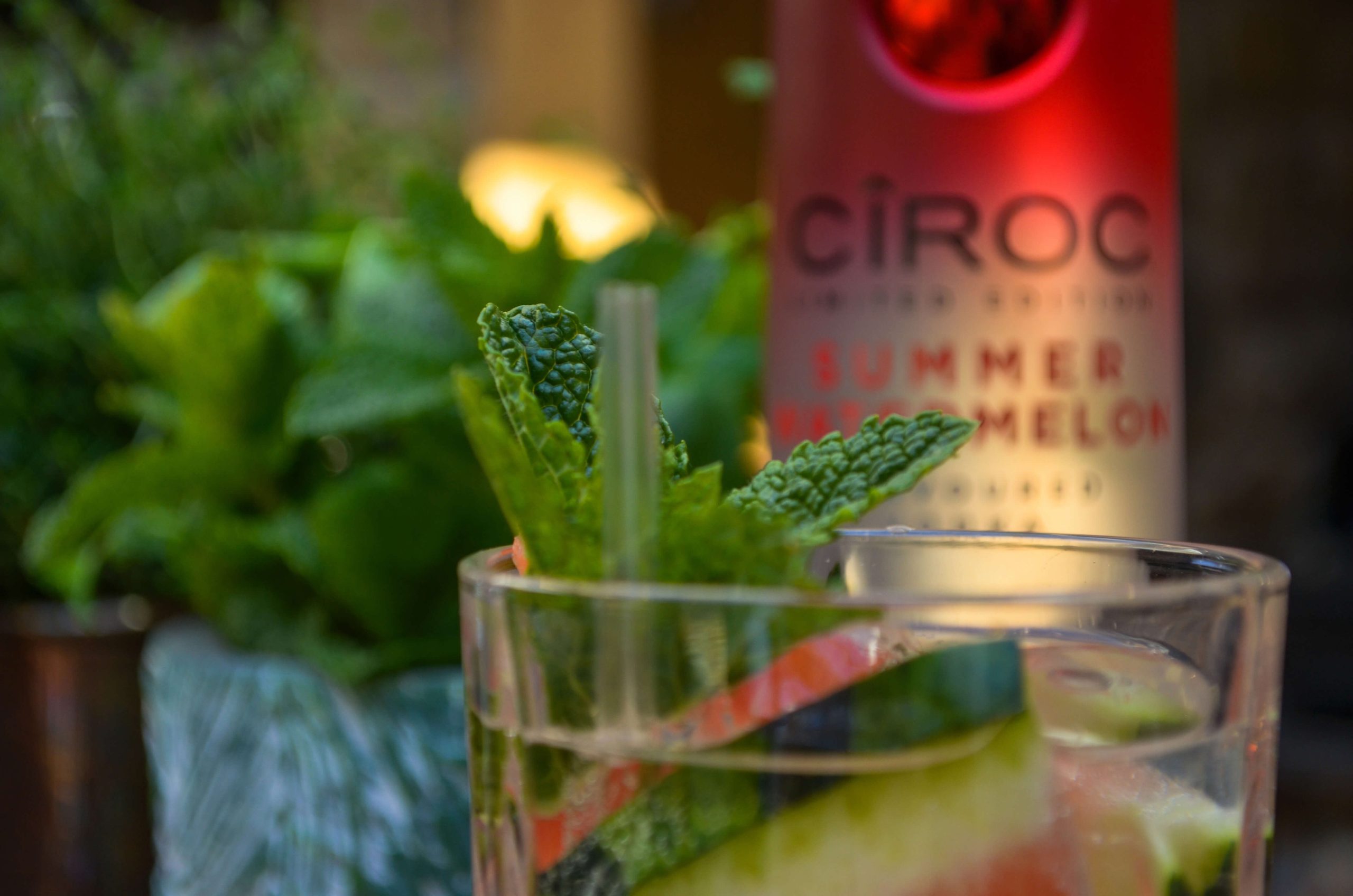 A refreshing Pretty-in-Pink Spring Vodka Cocktail Tower Hill Barns
