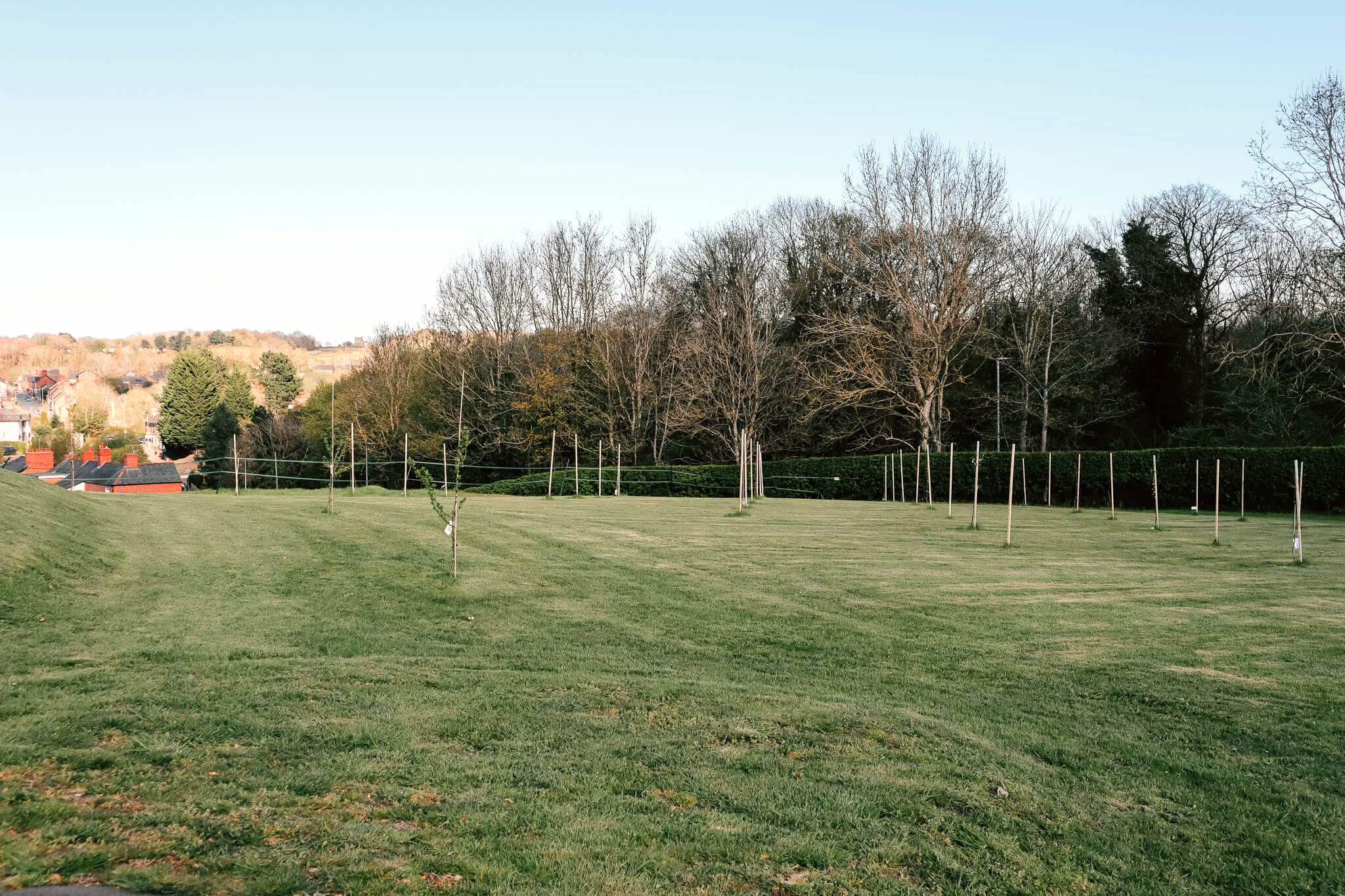 An Apple Orchard in its infancy at Tower Hill Barns sustainable countryside wedding venue. 